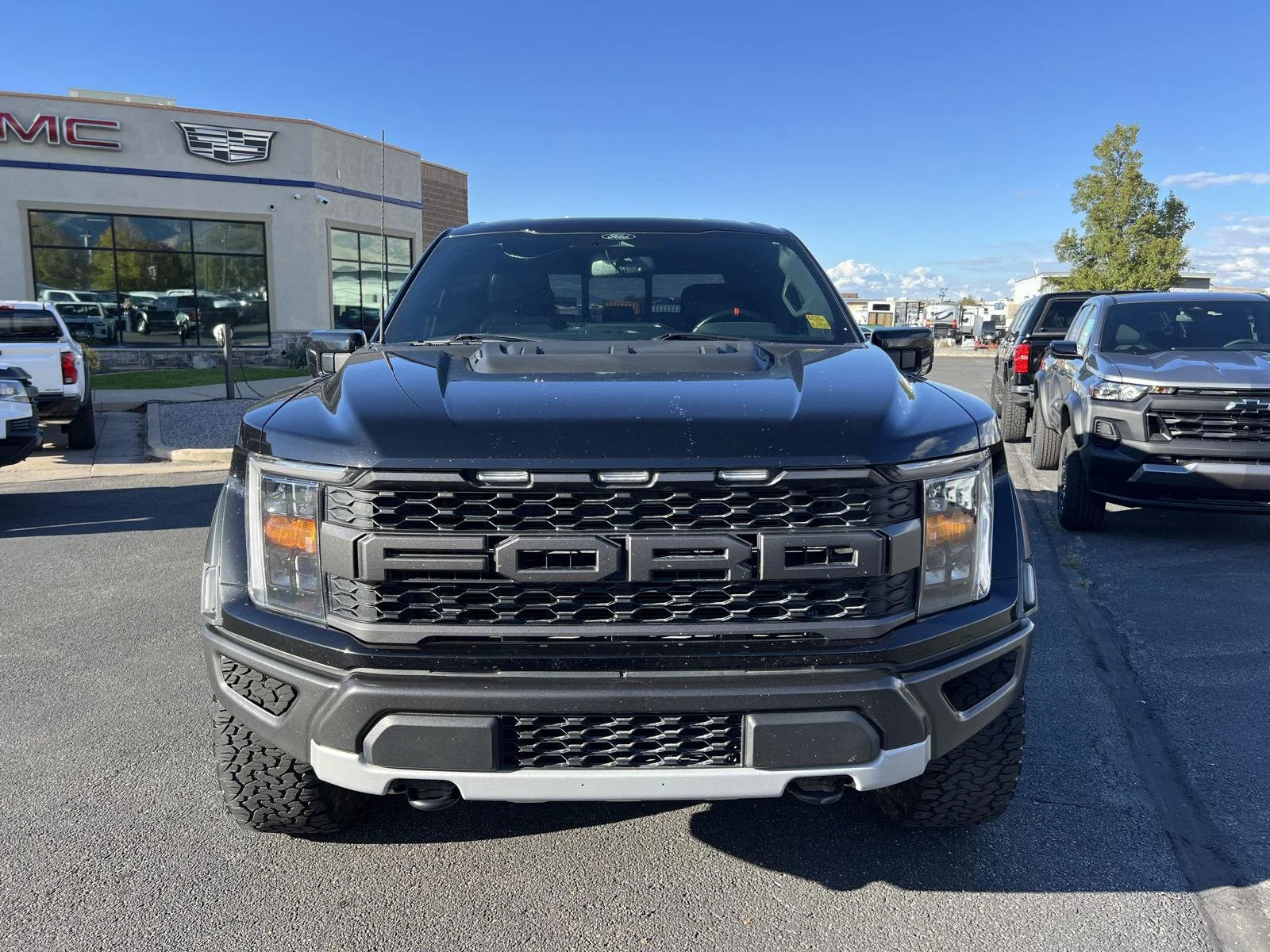 2022 Ford F-150 Raptor - Photo 8