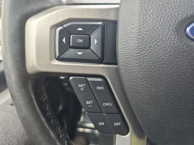 Used 2020 Black Ford Platinum image 17