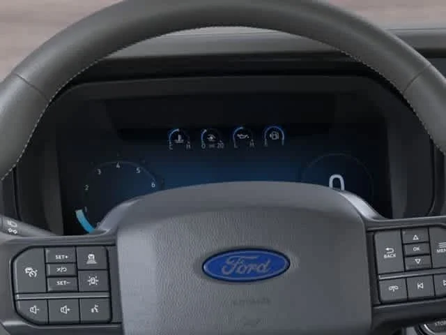 New 2026 Agate Black Metallic Ford Platinum image 13