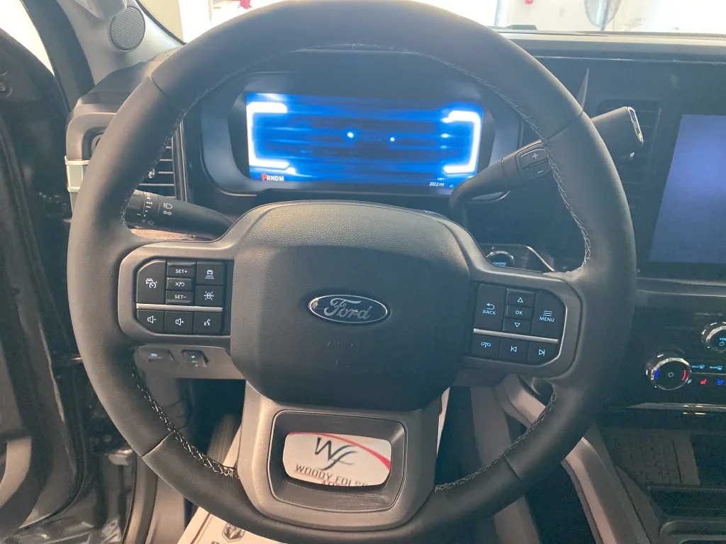 New 2027 Gray Ford Lariat image 19