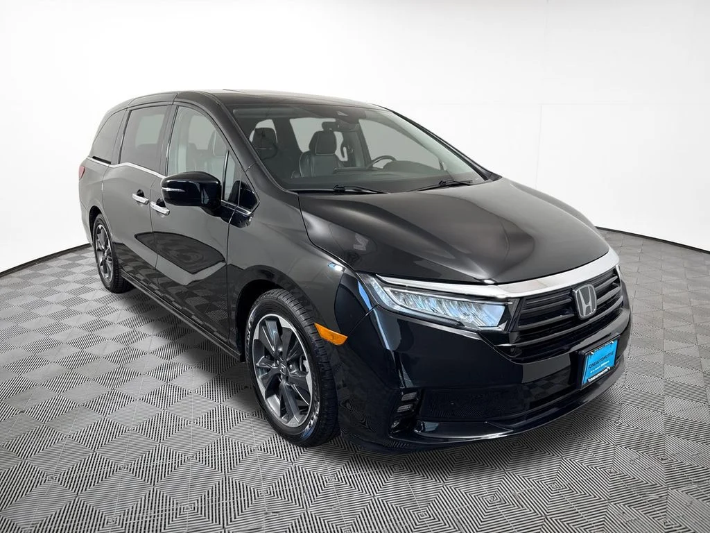 Used 2023 Black Honda Elite image 4