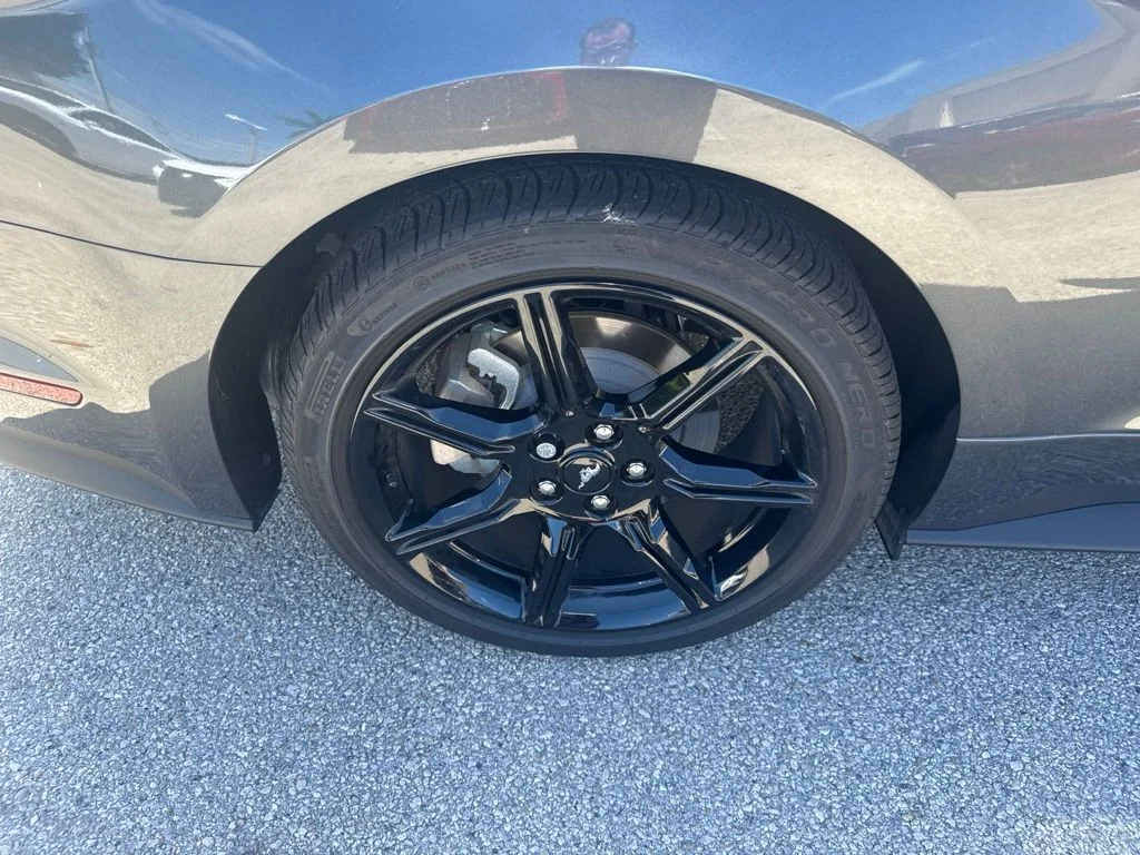 Used 2020 Gray Ford EcoBoost Premium image 13