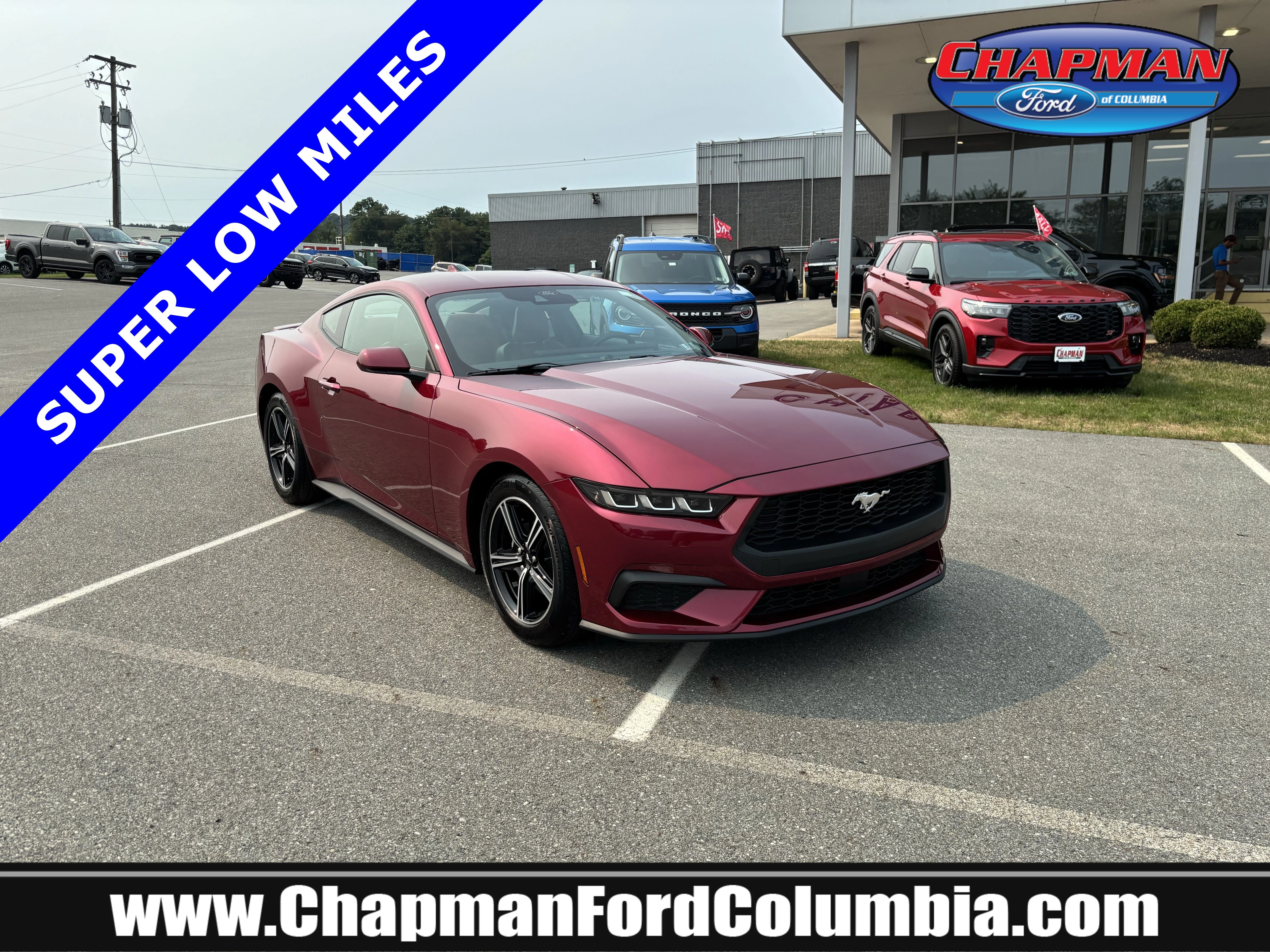 Used 2025 Magenta Ford EcoBoost Premium image 1