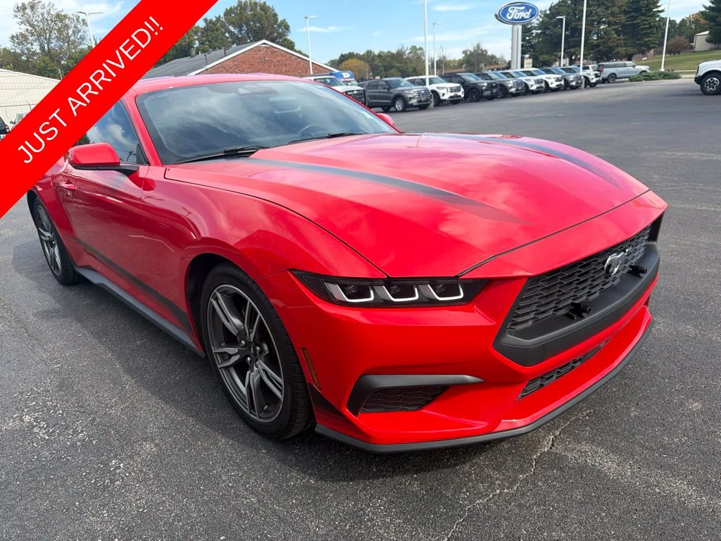Used 2024 Race Red Ford EcoBoost image 6