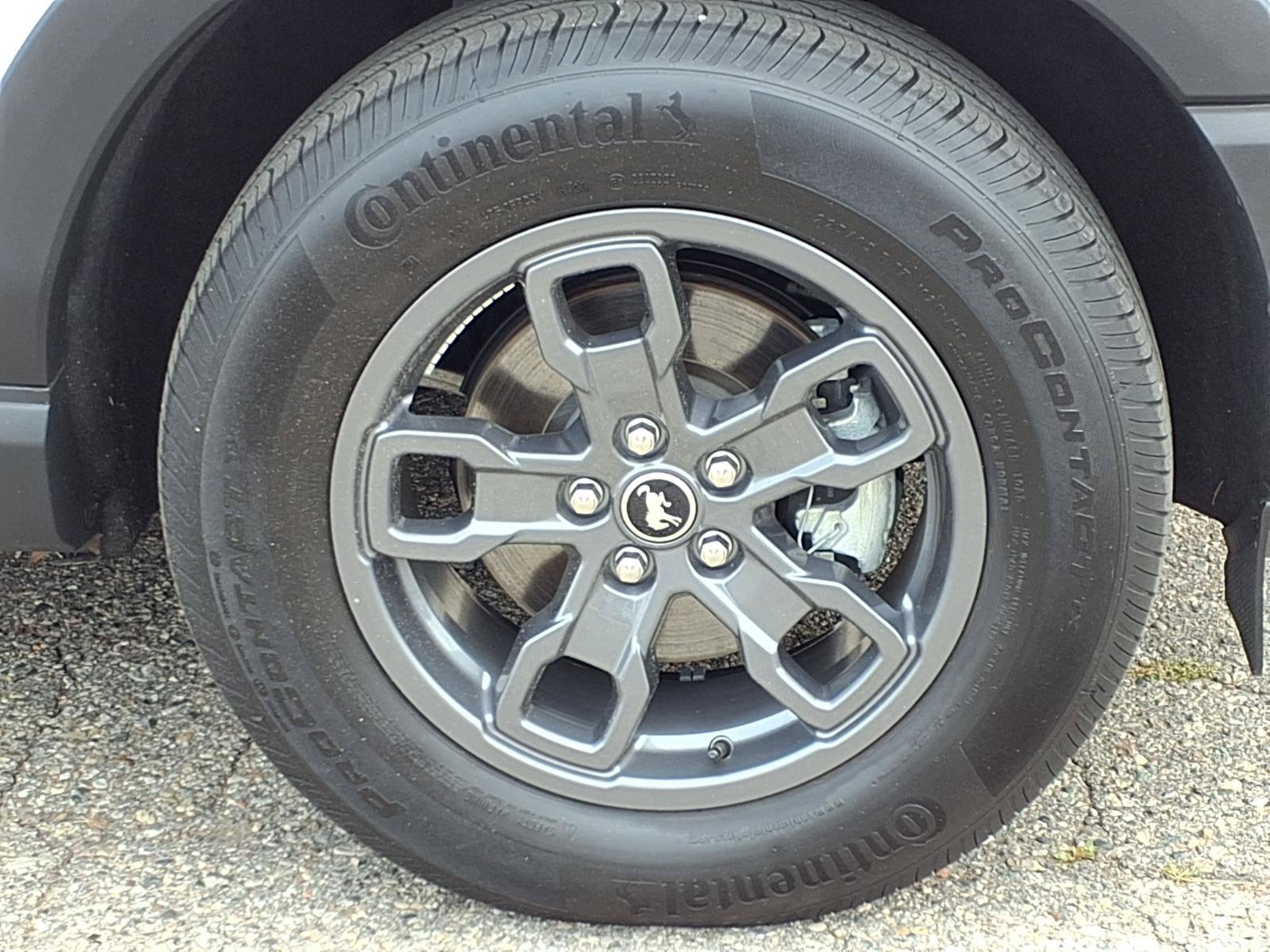 Photo 29