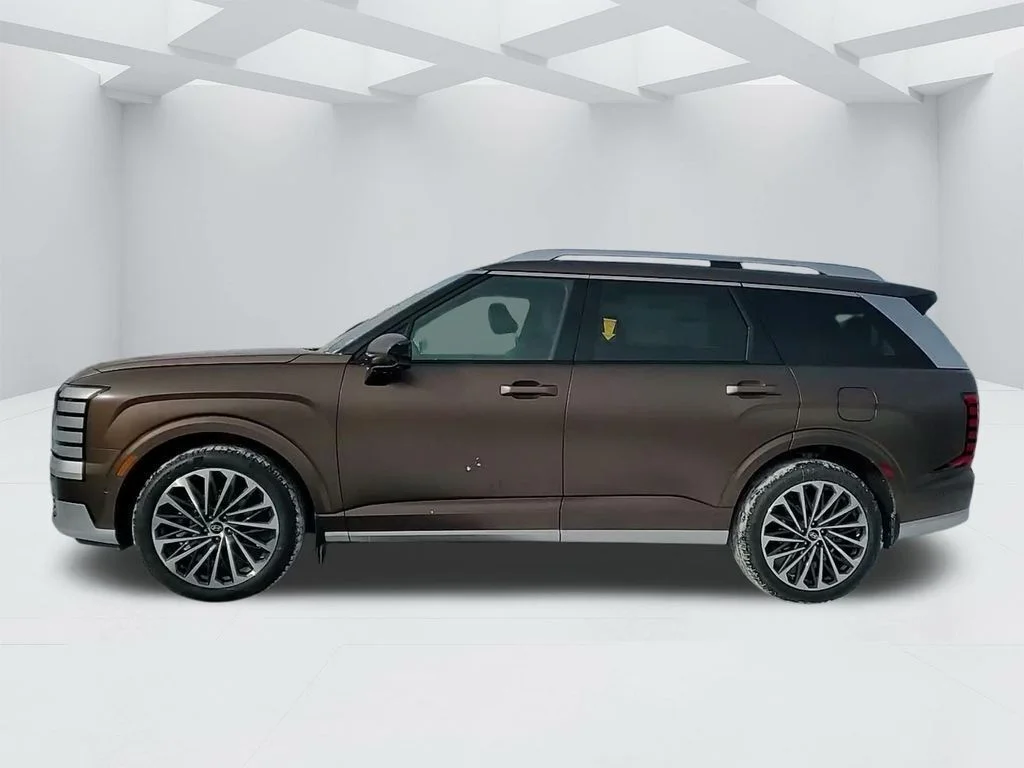 New 2026 Earthy Brass Matte Hyundai Calligraphy image 8