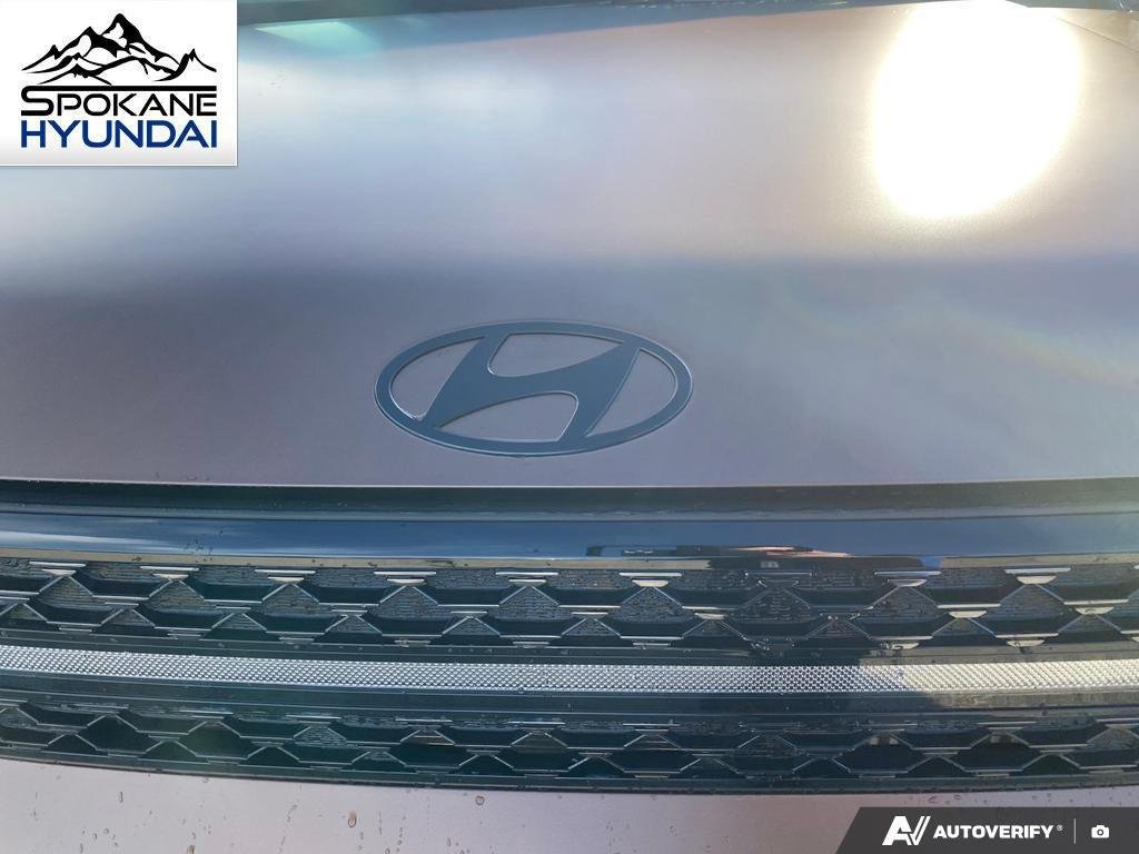 New 2027 Earthy Brass Matte Hyundai Calligraphy image 12