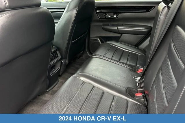 Used 2024 Black Honda EX-L image 13
