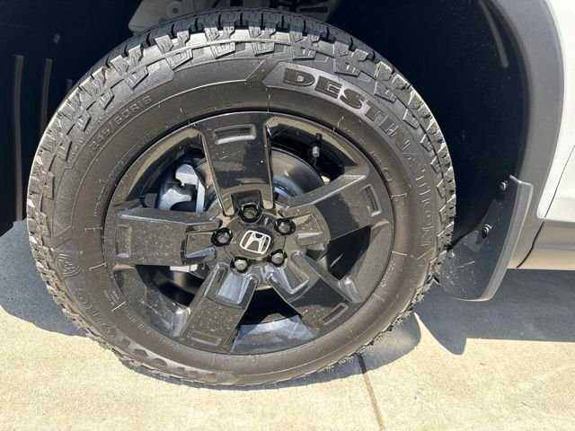 New 2026 Platinum White Pearl Honda Black Edition image 16