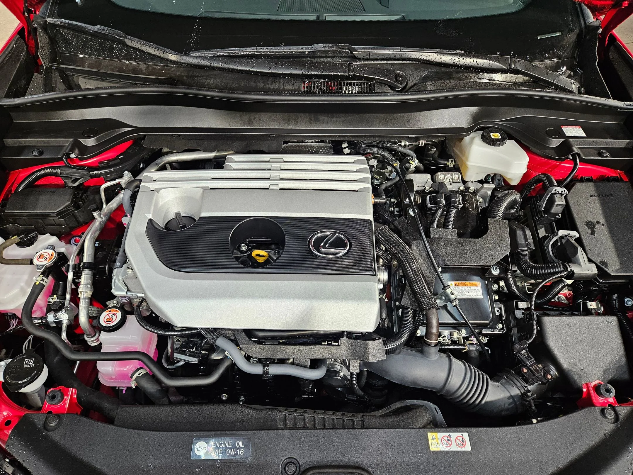 Used 2024 Redline with Obsidian Roof Lexus UX 250h F SPORT Design image 19