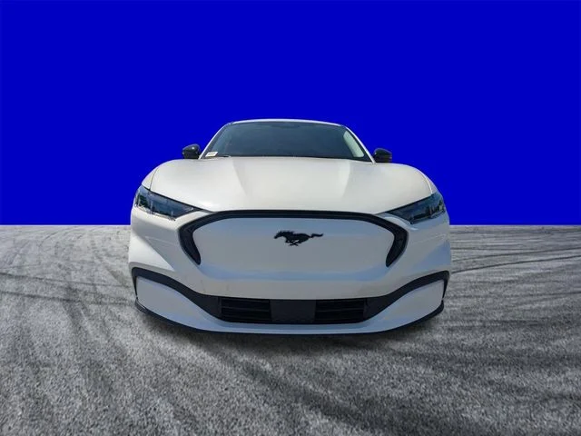 New 2026 White Ford Premium image 8