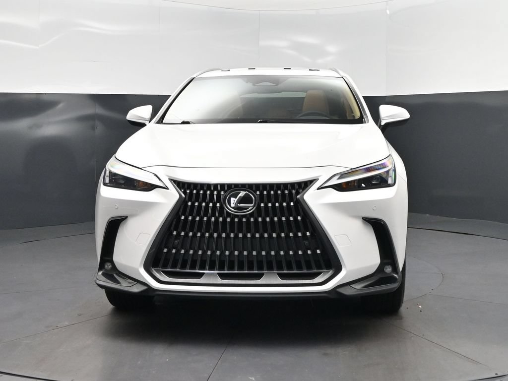 2025 Lexus NX 350 - Photo 10