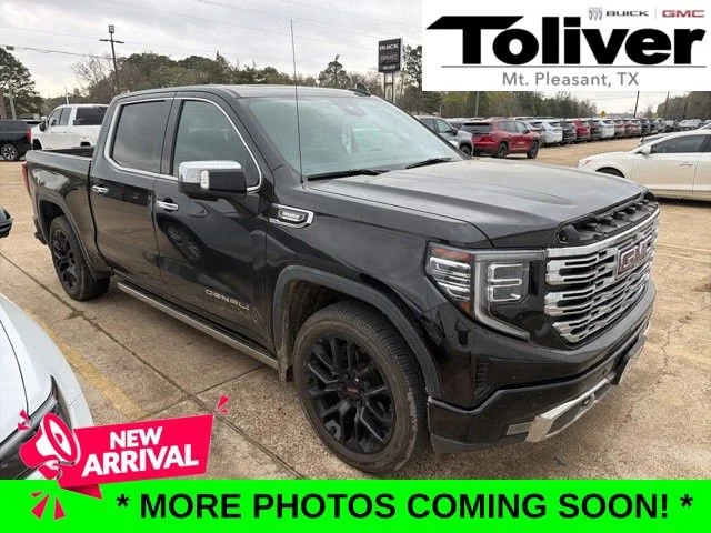 2023 GMC Sierra 1500 Denali