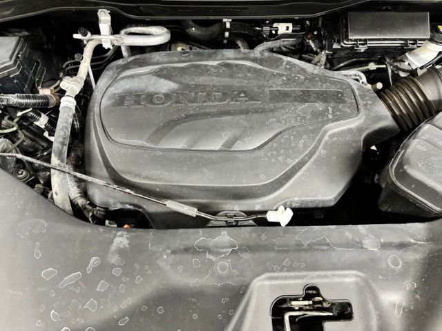Used 2025 Brown Honda RTL image 25