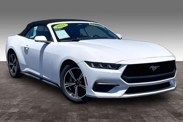 Used 2024 White Ford EcoBoost Premium image 11
