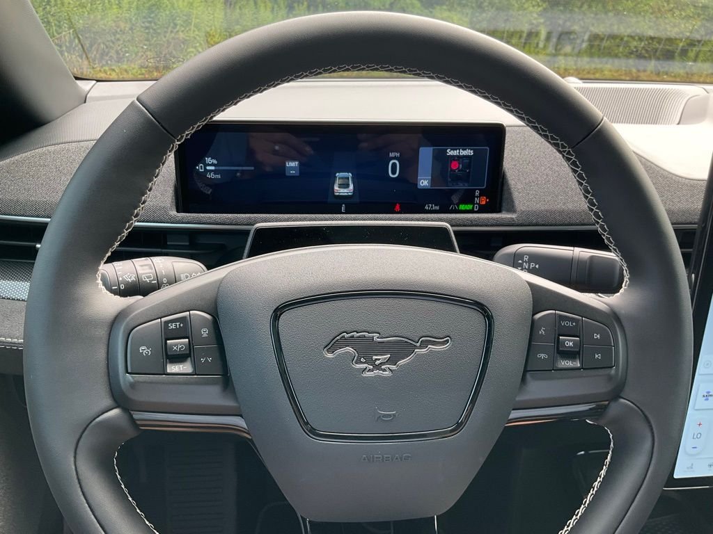 2025 Ford Mustang Mach-E GT - Photo 7