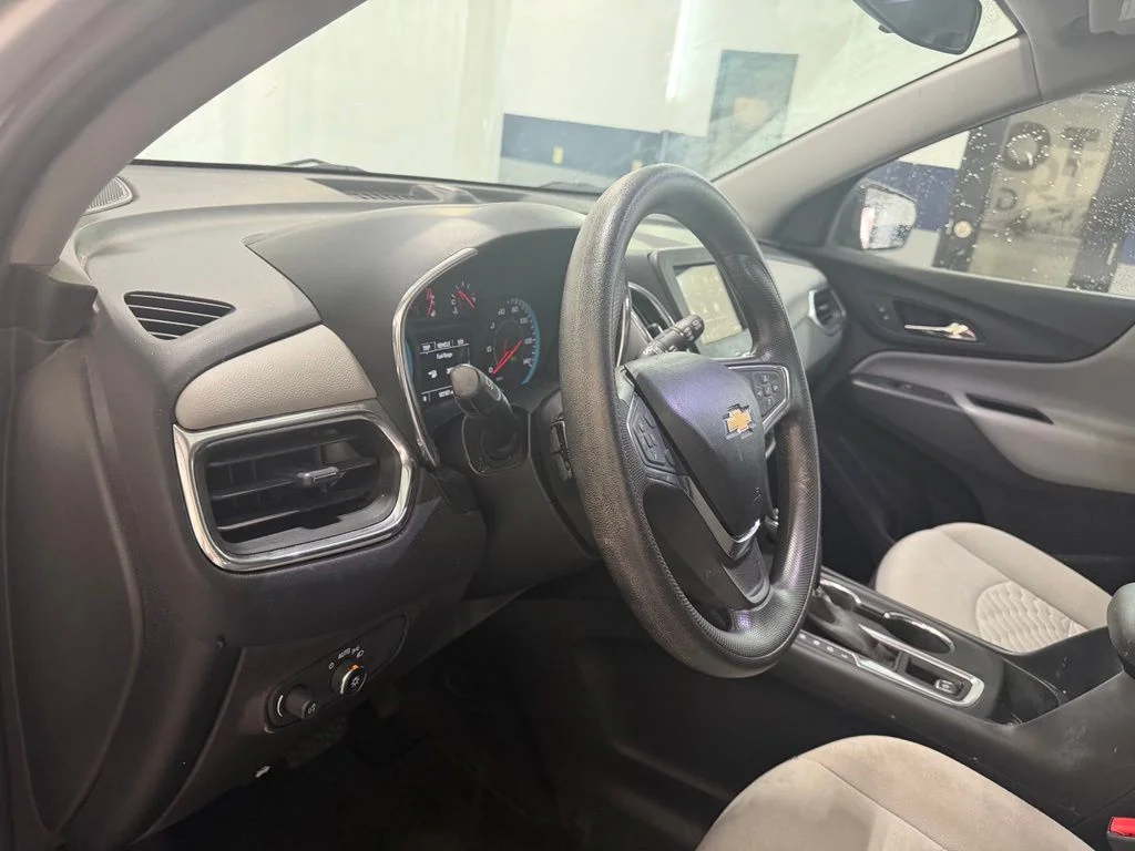 Used 2019 Silver Chevrolet LS image 14