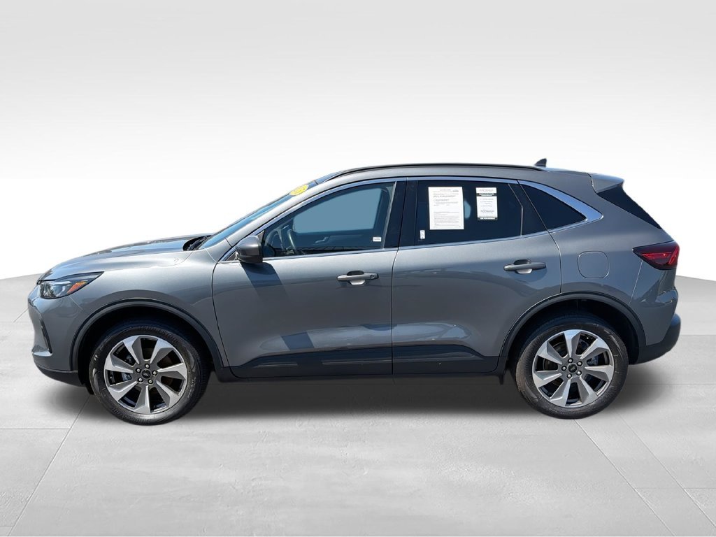Used 2025  Ford Platinum image 5
