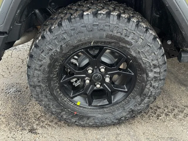 New 2026 41 Exterior Paint Jeep Willys image 12