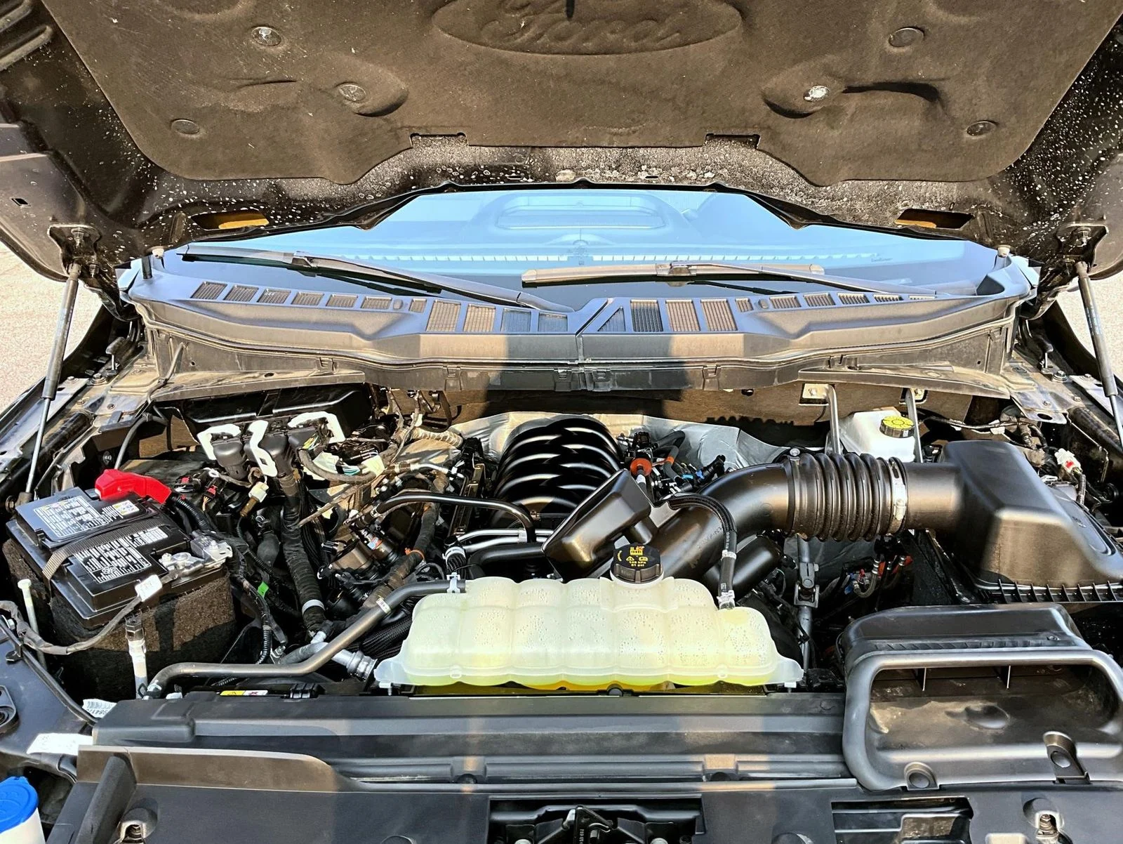 Certified Used 2025 Black Ford XLT image 24
