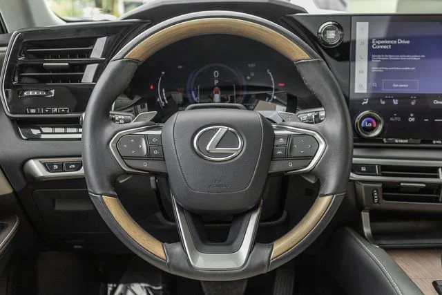 2023 Lexus RX 350 - Photo 8