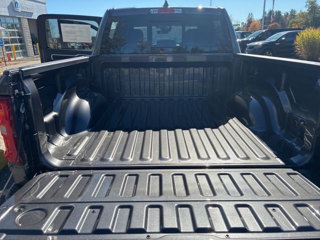 New 2026 Granite Crystal Metallic Clear-Coat Exterior Paint RAM Big Horn/Lone Star image 26