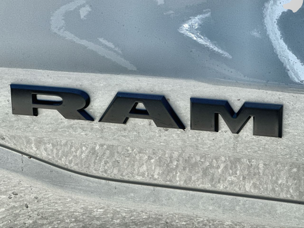 New 2026 Silver Zynith RAM Tradesman image 43