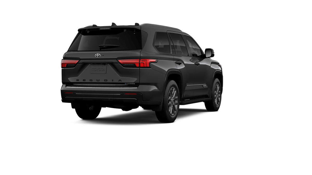 New 2026 Magnetic Gray Metallic Toyota Platinum image 10