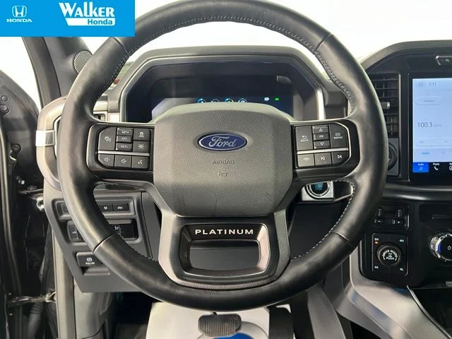 Used 2024 Black Ford Platinum image 25