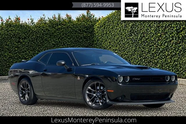 2022 Dodge Challenger Challenger Scat Pack R/T Scat Pack