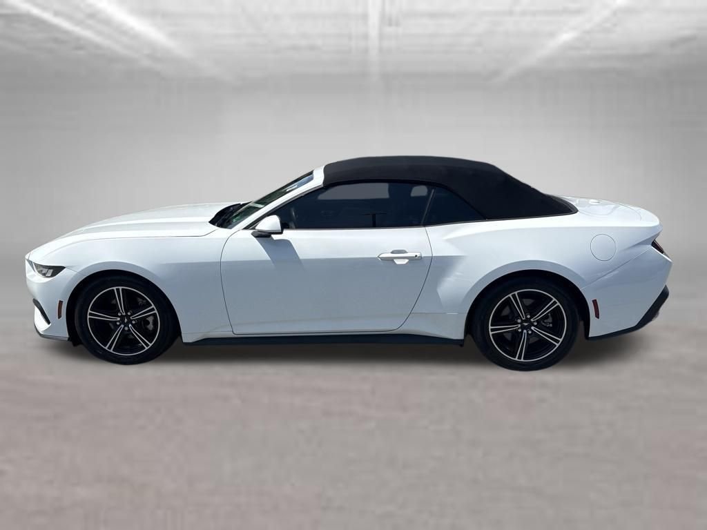 Used 2024 White Ford EcoBoost image 10
