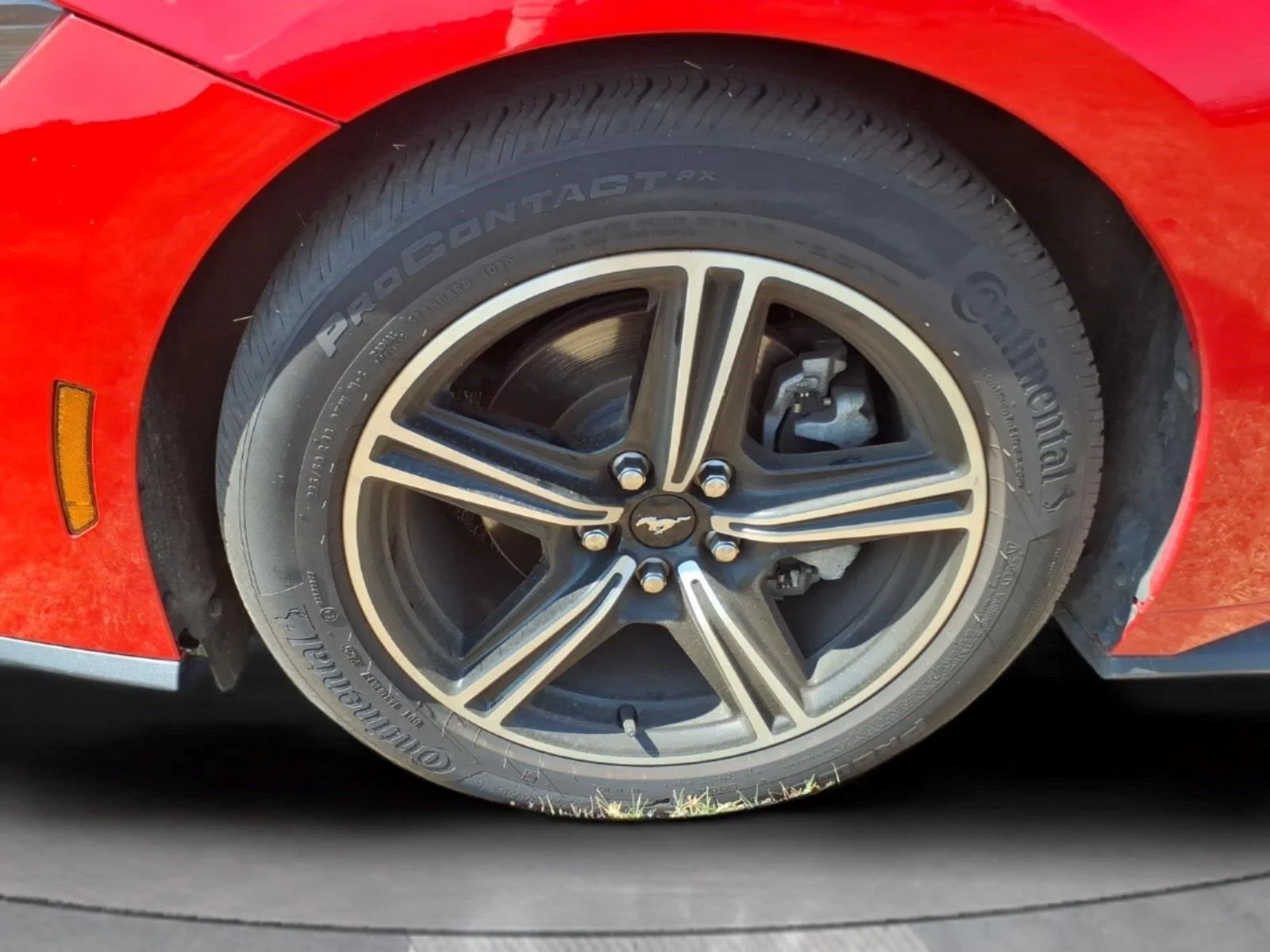 Used 2025 Race Red Ford EcoBoost Premium image 9