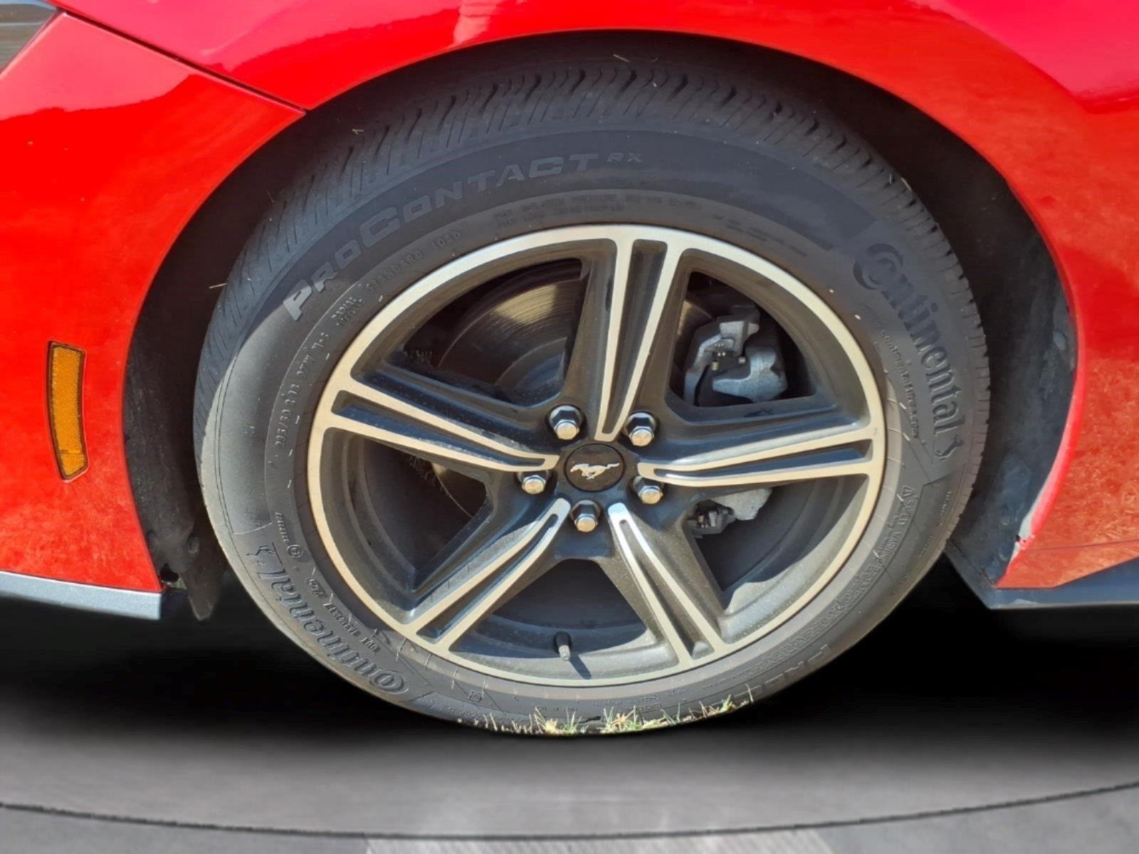 Used 2025 Race Red Ford EcoBoost Premium image 9