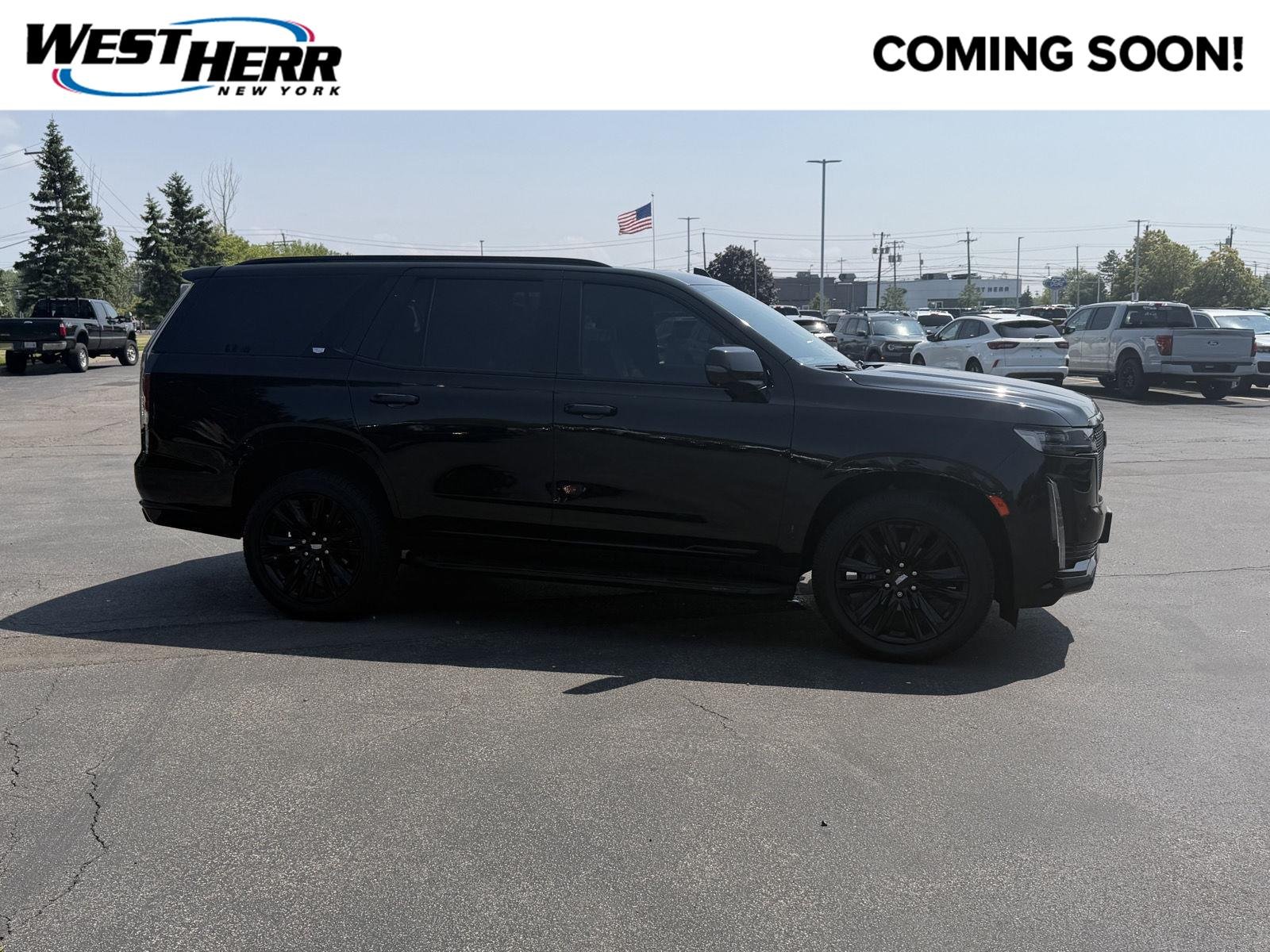 Used 2023 Black Raven Cadillac 4WD Sport image 1