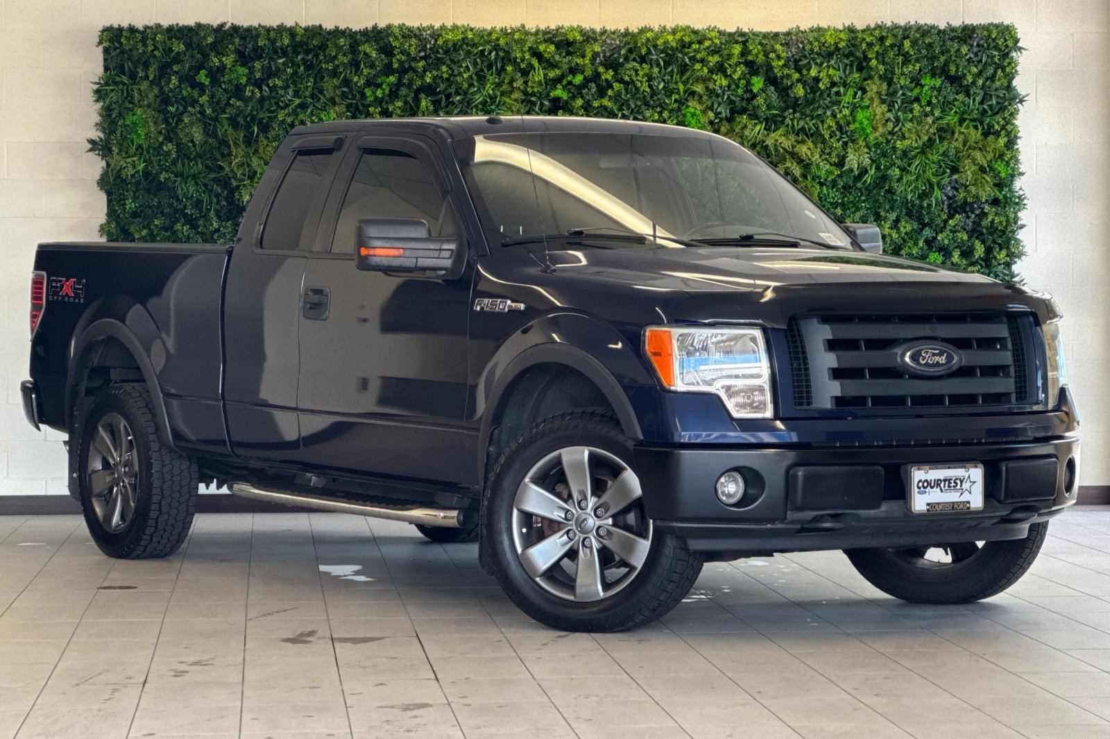 2009 Ford F-150 FX4