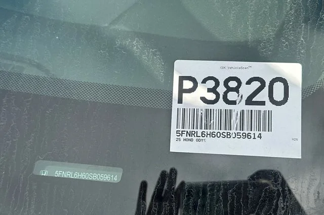 Used 2025  Honda EX-L image 7