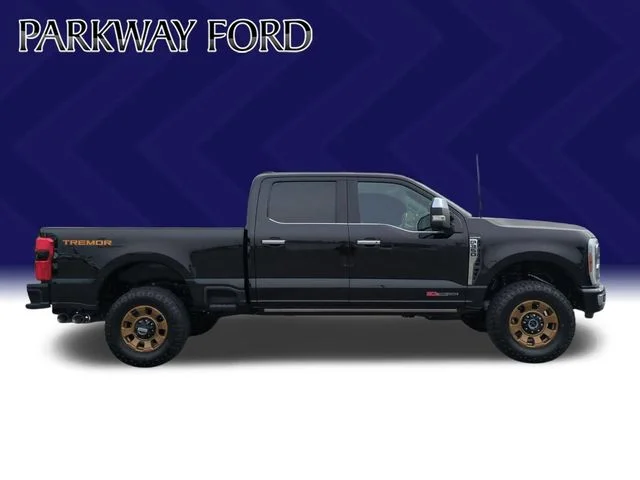 Used 2024 Black Ford Platinum image 6