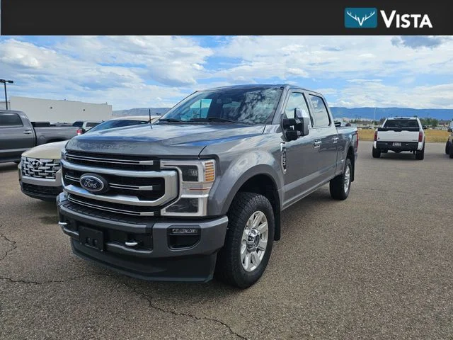Used 2021 Gray Metallic Ford Platinum image 1
