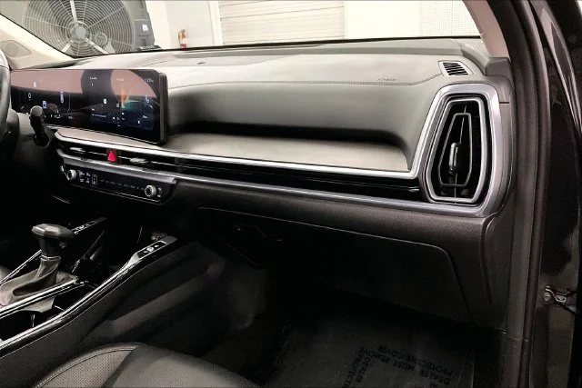 Used 2025 Panthera Metal Kia X-Line SX image 19