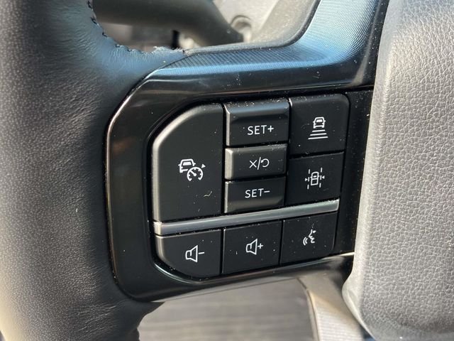 Used 2024 Blue Ford Platinum image 16