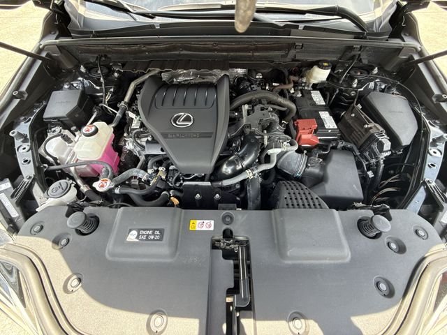 2024 Lexus NX 350 - Photo 27