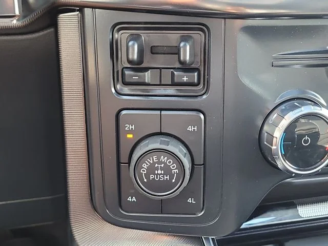 New 2026 Black Metallic Ford Platinum image 30