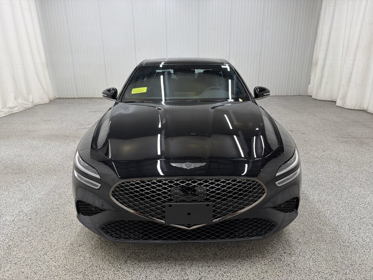 New 2027 Vik Black Genesis Standard image 2