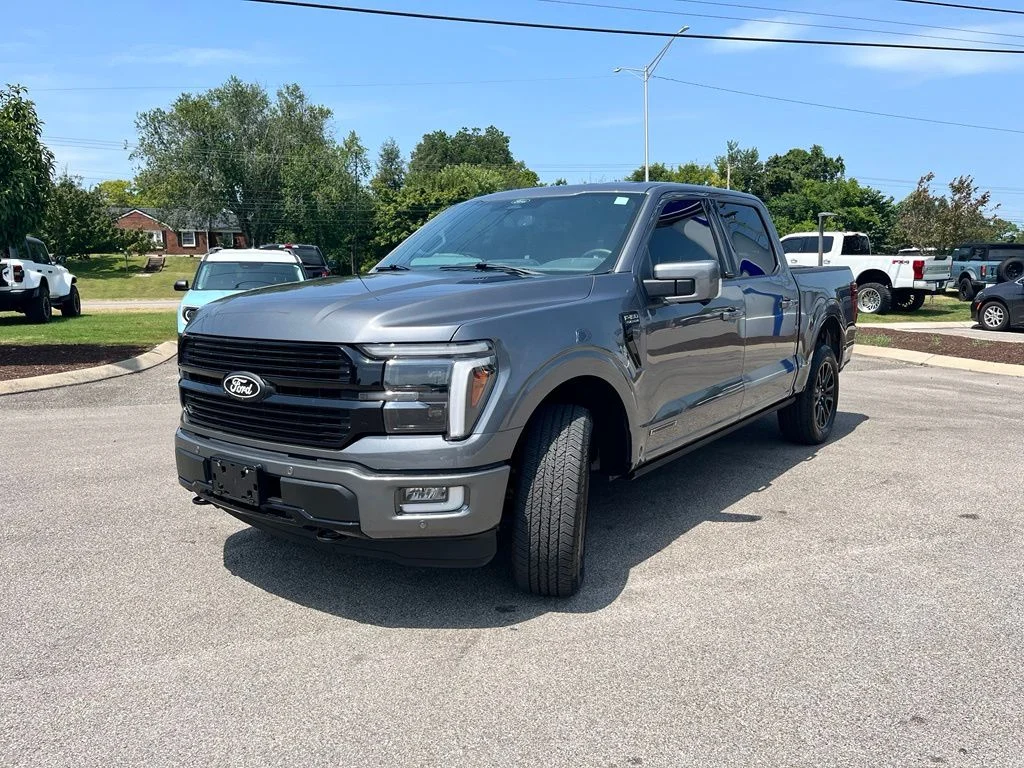 Used 2025 Gray Ford Platinum image 3