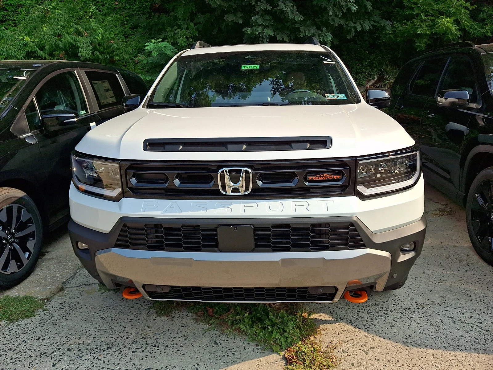 New 2026 Platinum White Pearl Honda TrailSport Elite image 2