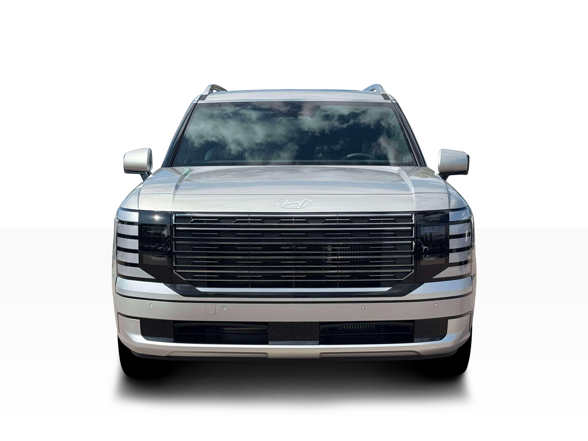 New 2026 Typhoon Silver Metallic Hyundai Calligraphy image 27