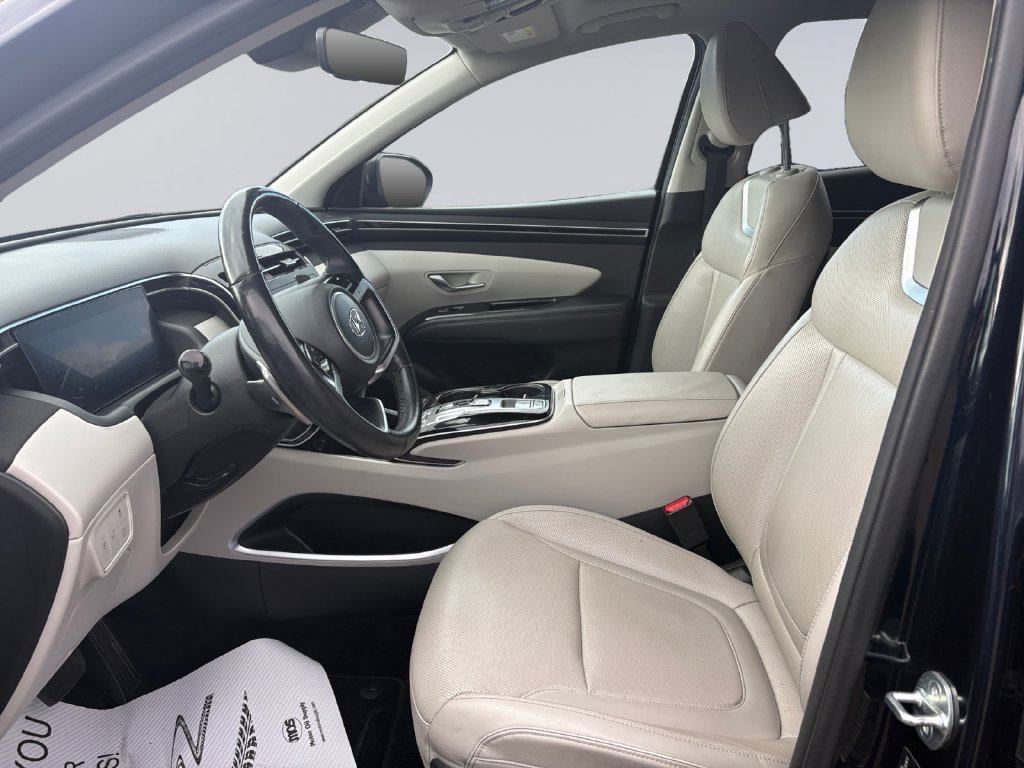 Used 2023 Blue Hyundai Limited image 11