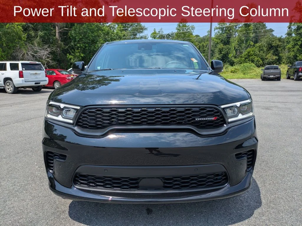 New 2026 Diamond Black Clear-Coat Exterior Paint Dodge GT Plus image 11