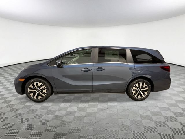 New 2026 Smoke Blue Pearl Honda EX-L image 2
