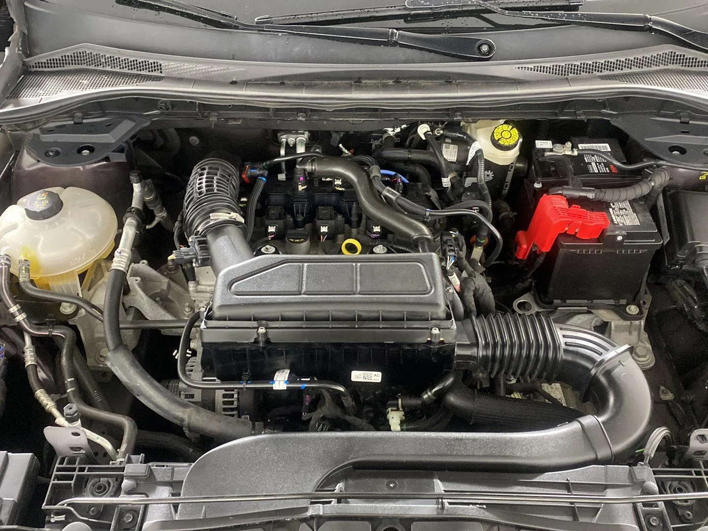 Used 2023 Cinnabar Red Ford Active image 30